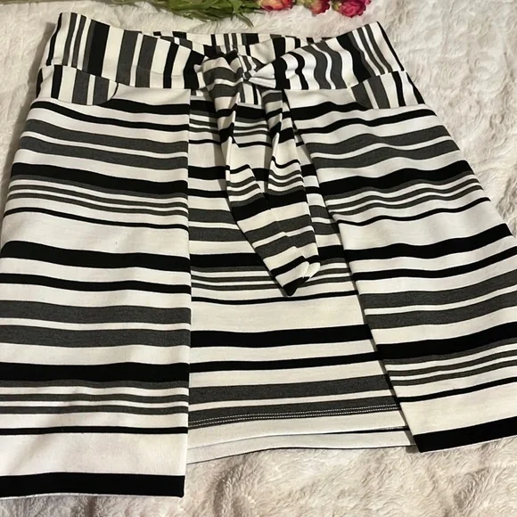 CABI SKIRT SIZE SMALL - Picture 1 of 5